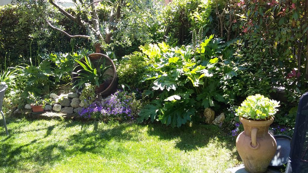 B&B Il Paiolo Desenzano del Garda Eksteriør bilde