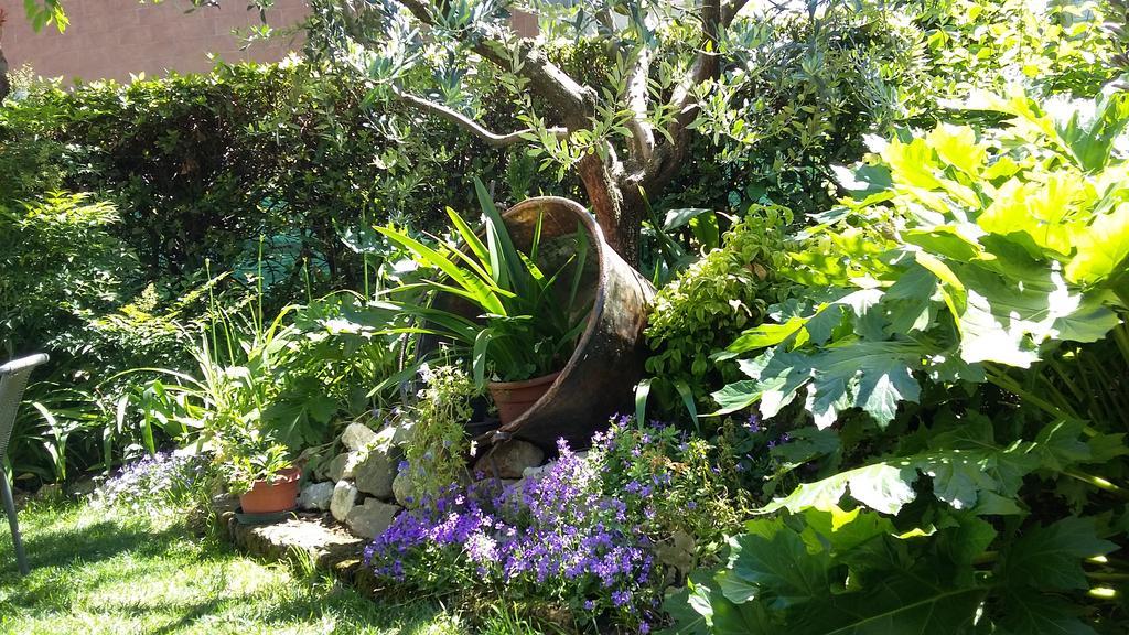 B&B Il Paiolo Desenzano del Garda Eksteriør bilde